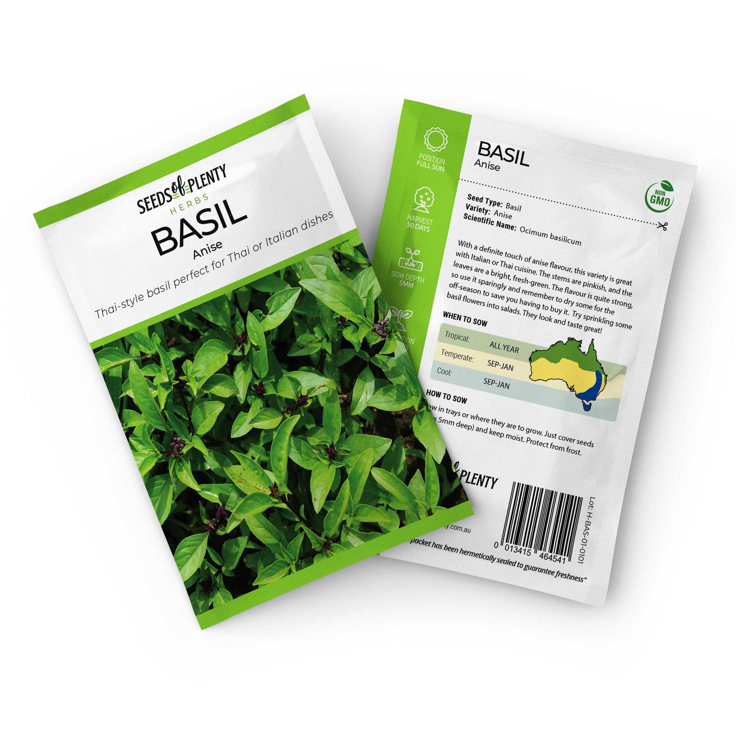BASIL - Anise Seed Packet - Ocimum basilicum