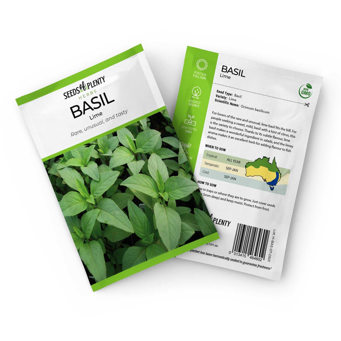 BASIL - Lime Seed Packet - Ocimum basilicum