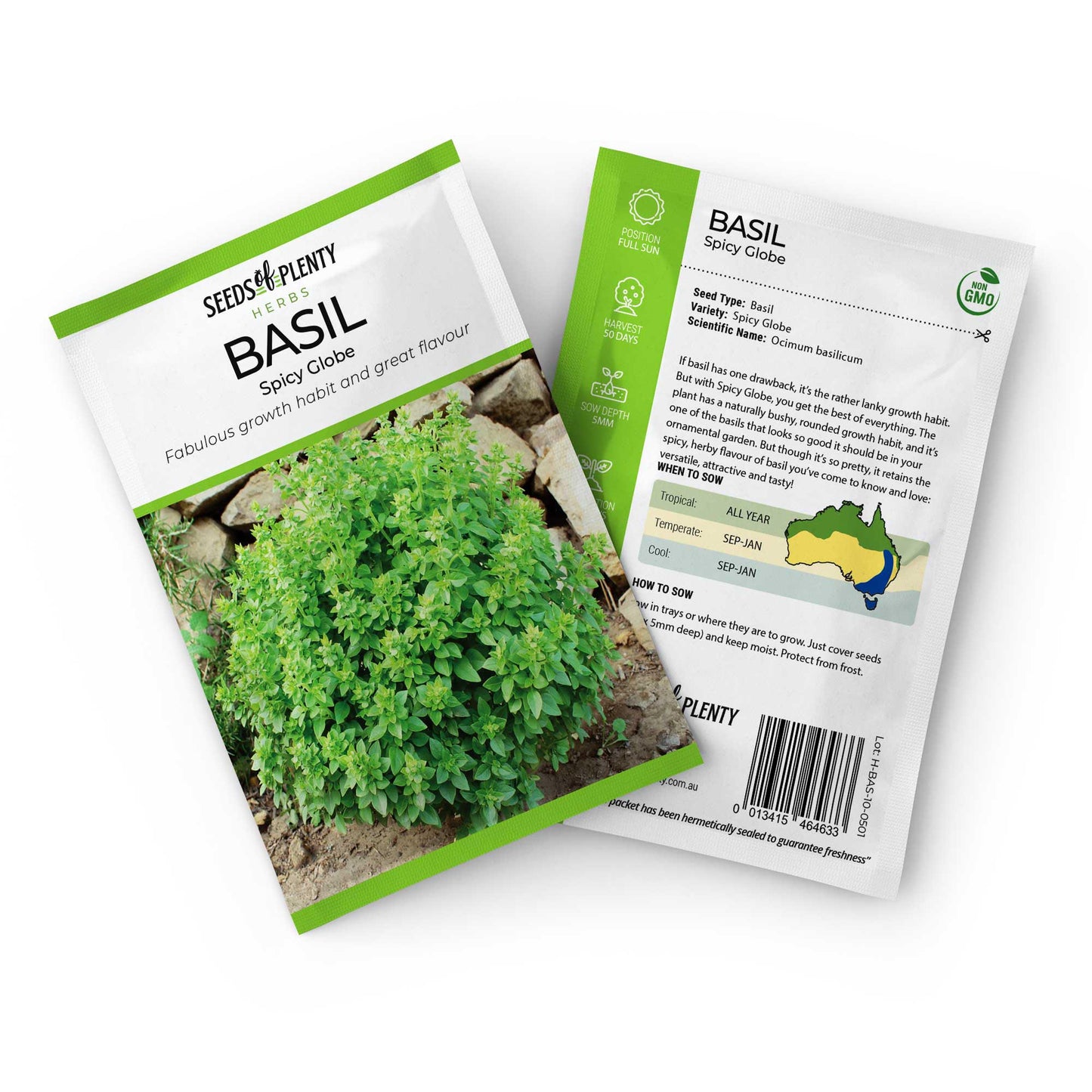 BASIL - Spicy Globe Seed Packet - Ocimum basilicum