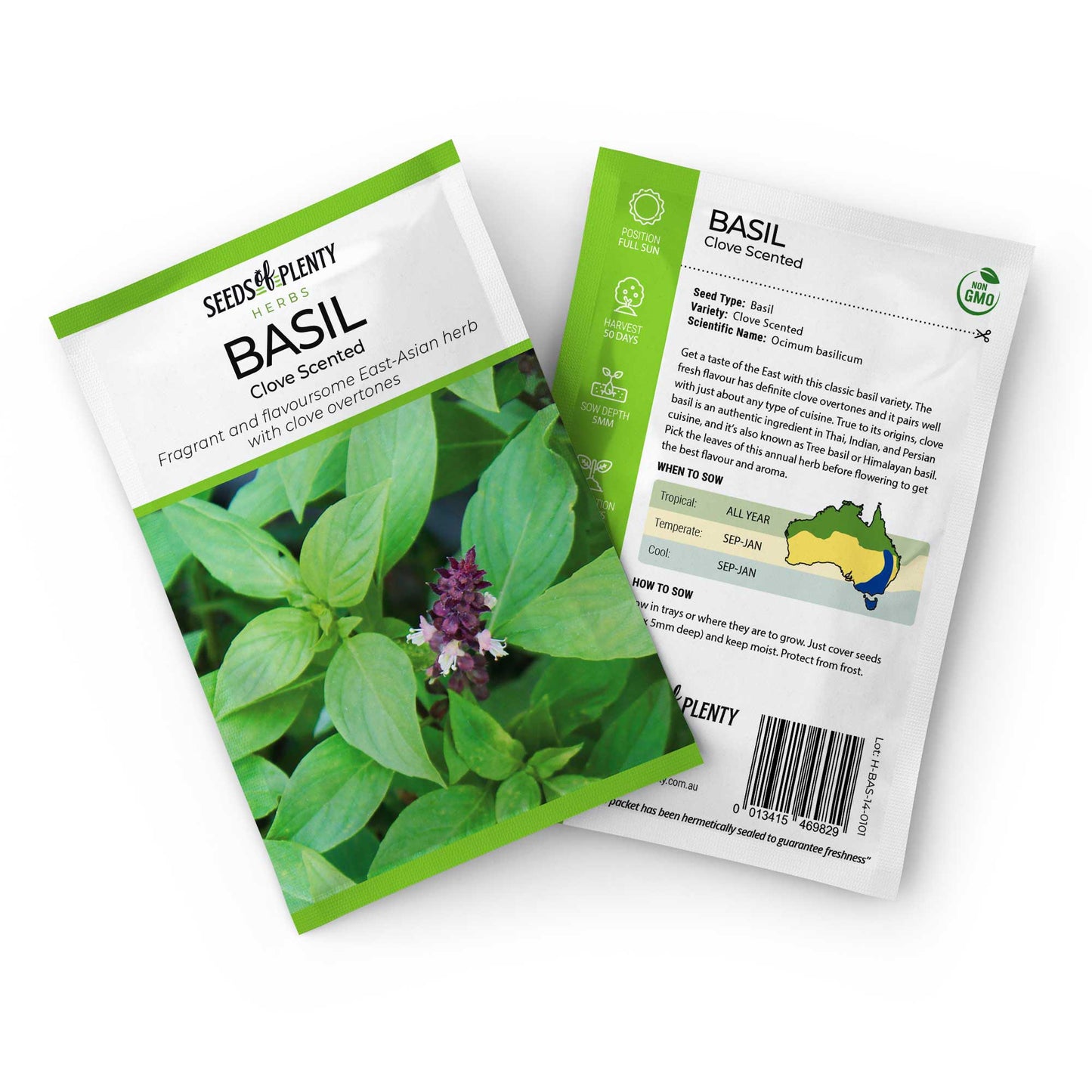 BASIL - Clove Scented Seed Packet - Ocimum basilicum