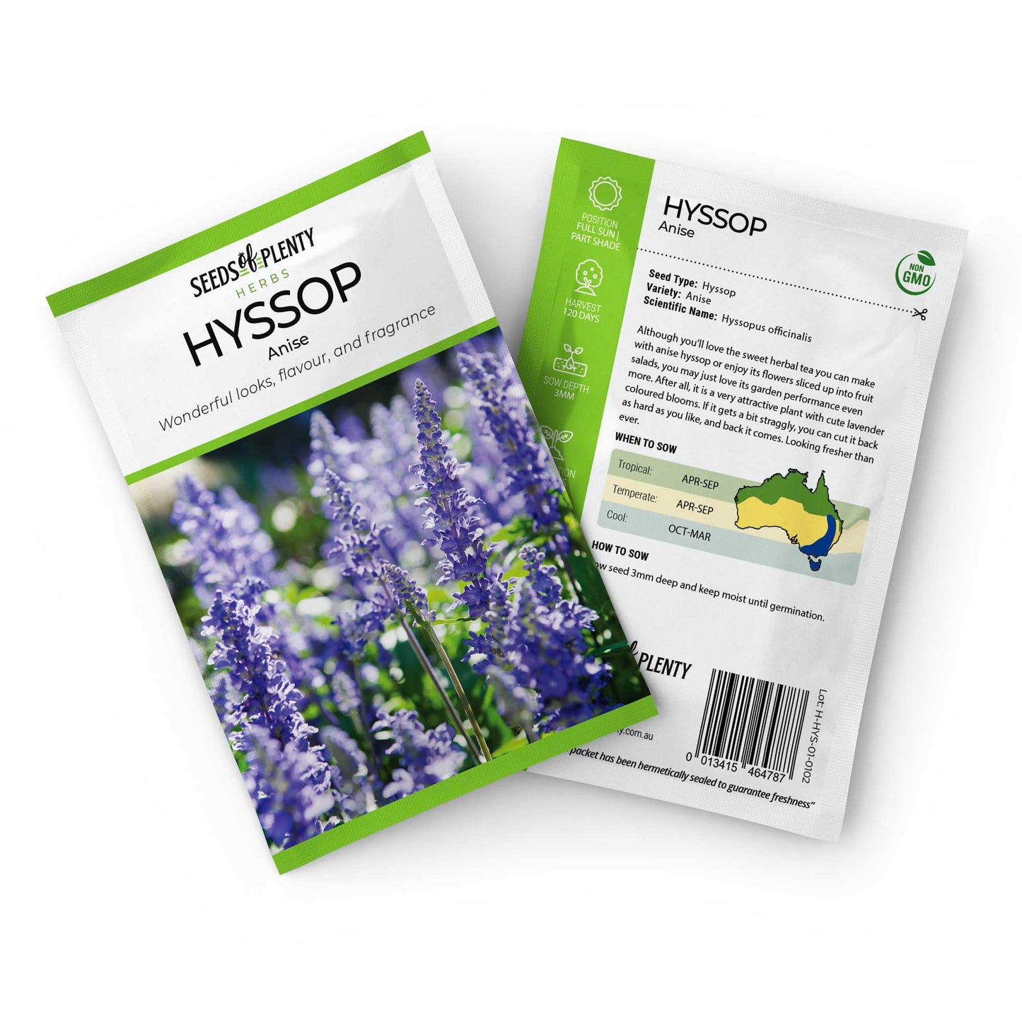 HYSSOP - Anise Seed Packet - Hyssopus officinalis