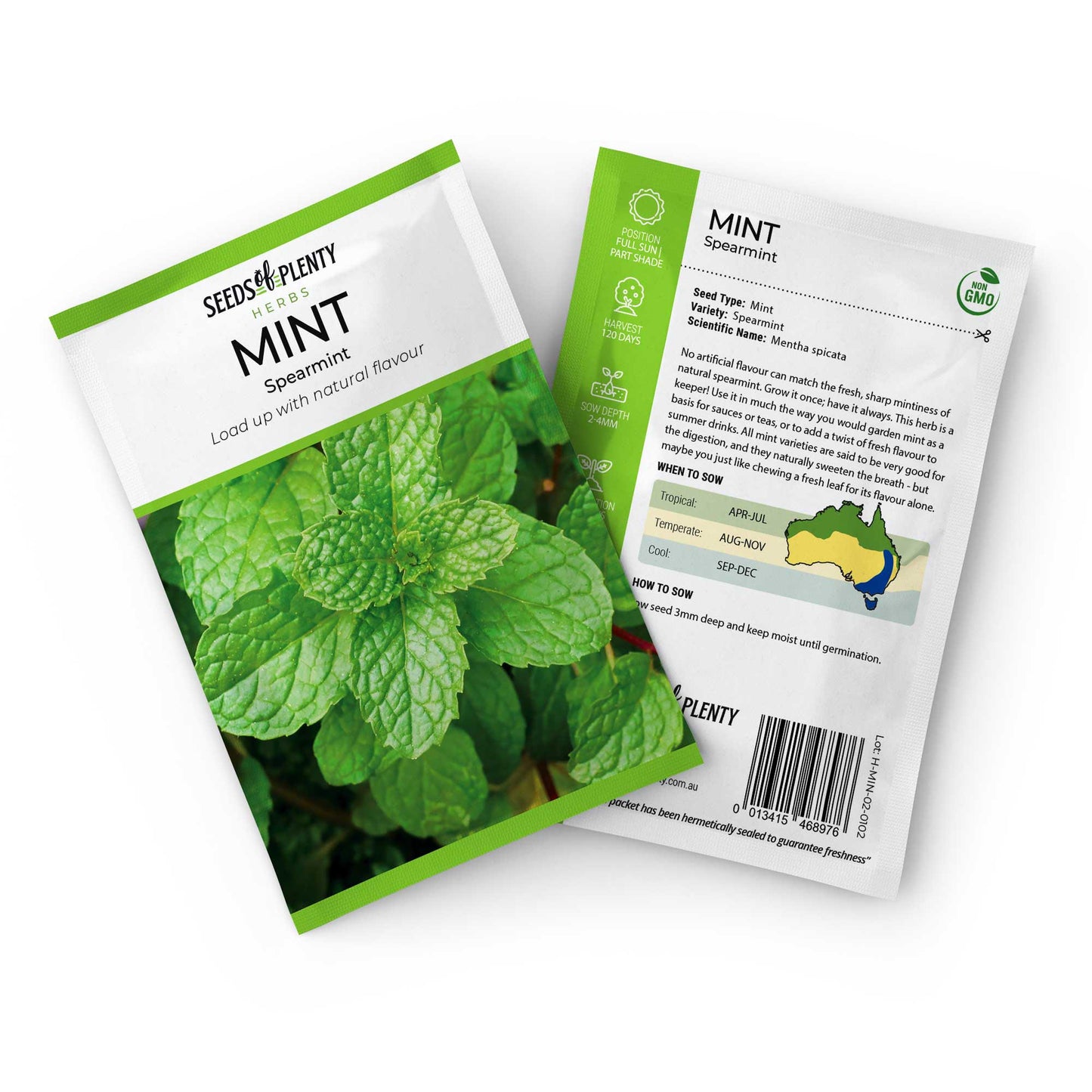 MINT - Spearmint Seed Packet - Mentha spicata