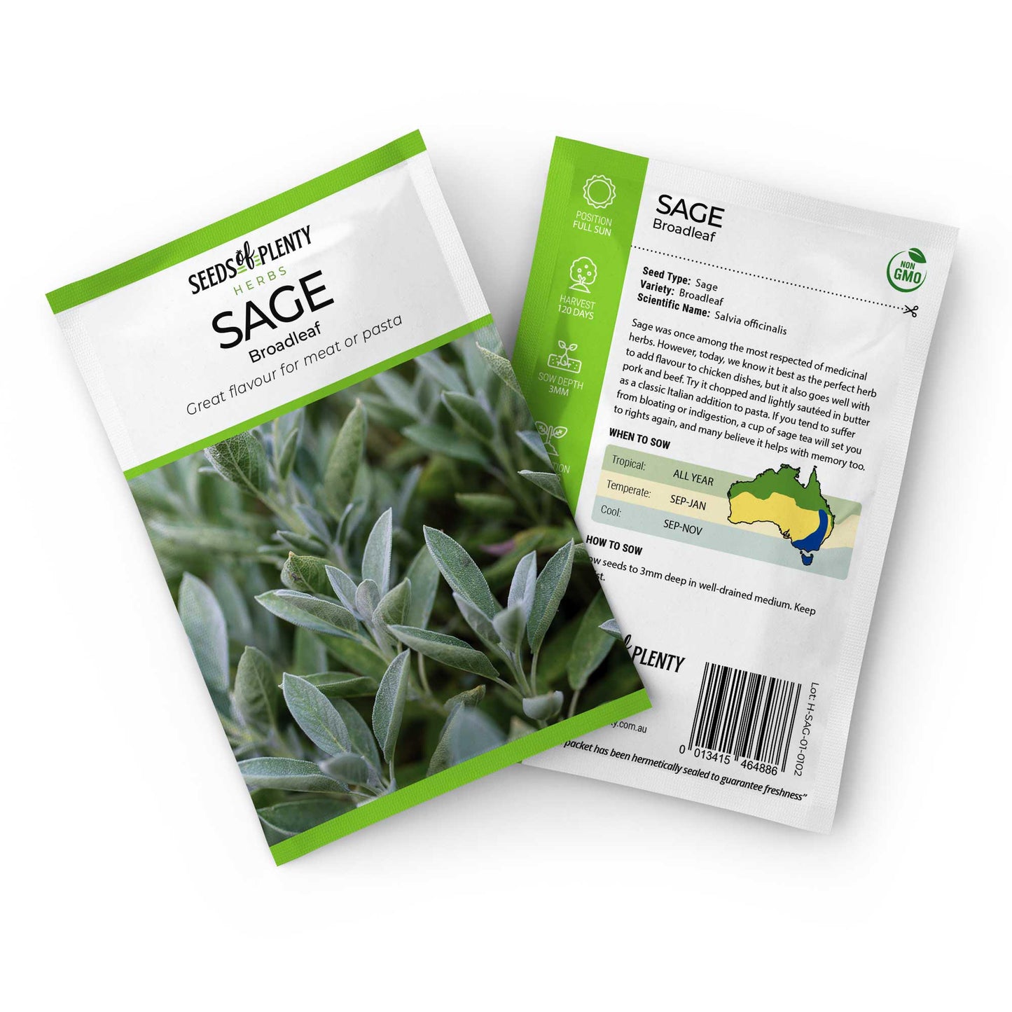 SAGE - Broadleaf Seed Packet - Salvia officinalis