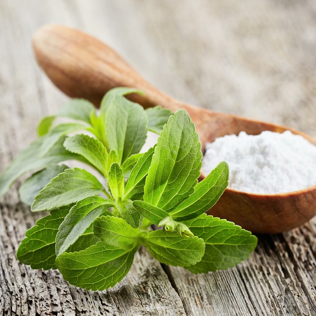 Stevia - Open Pollinated  - Stevia rebaudiana