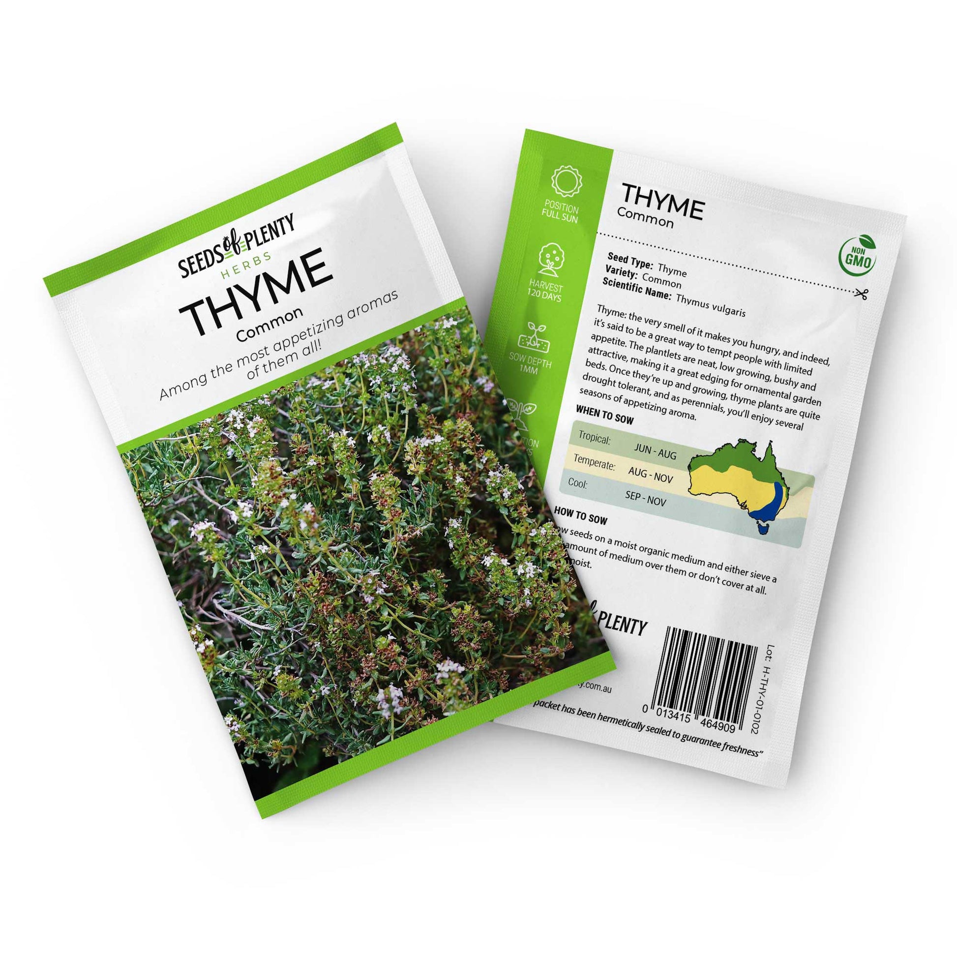 THYME - Common Seed Packet - Thymus vulgaris