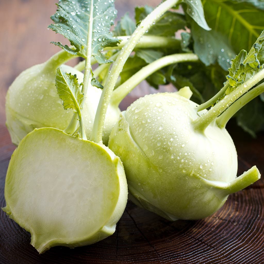 KOHL RABI - White Vienna - Brassica oleracea var. gongylodes