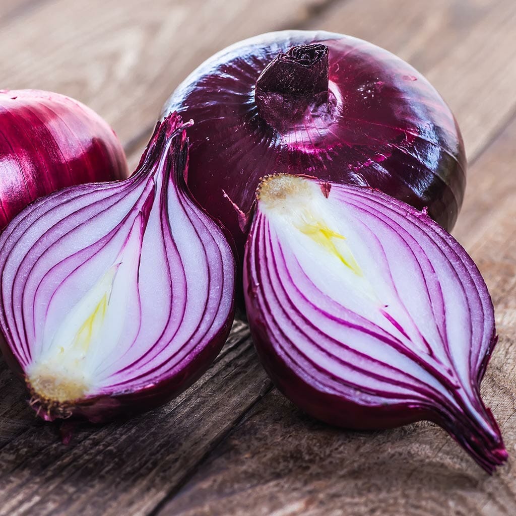 ONION - Red Creole - Allium cepa