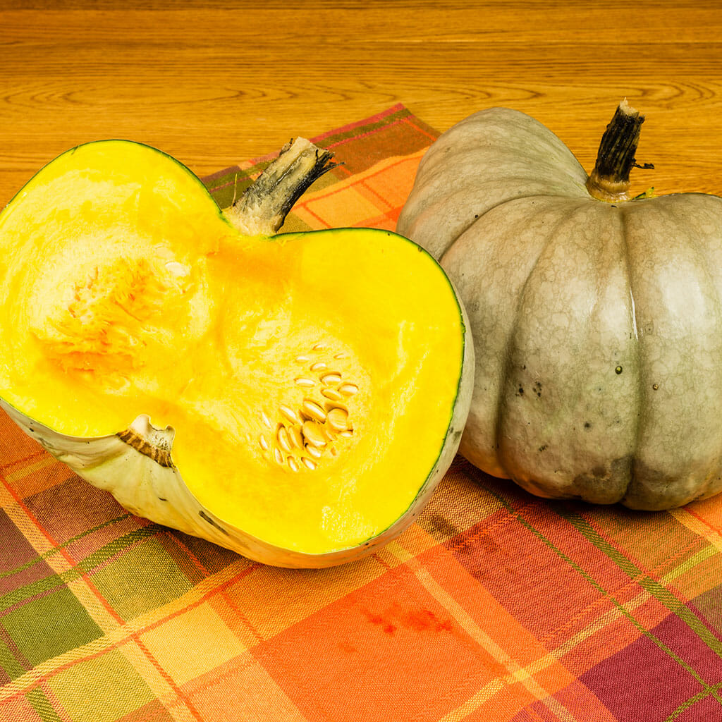 PUMPKIN - Jarrahdale - Cucurbita maxima