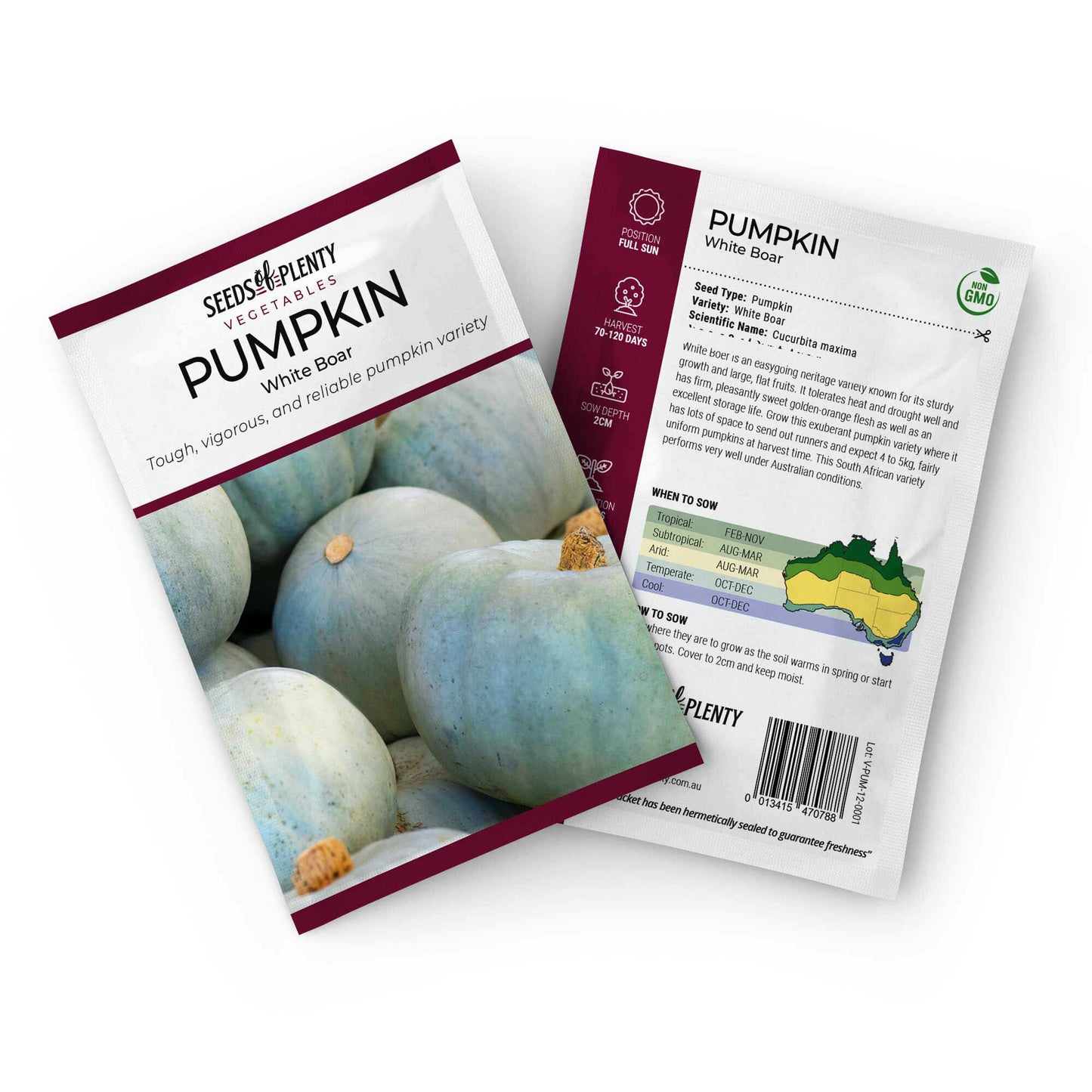 PUMPKIN - White Boar Seed Packet - Cucurbita maxima