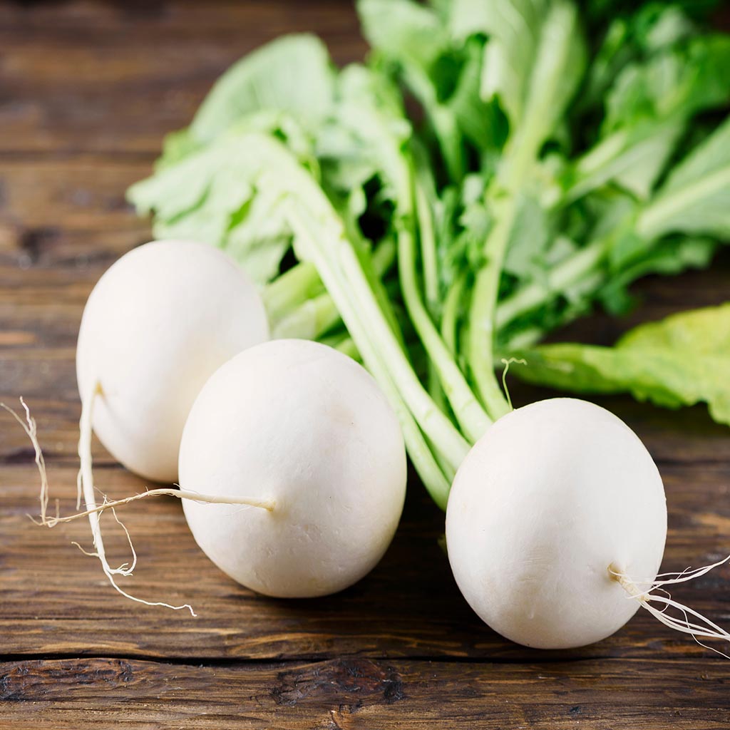 RADISH - Hailstone - Raphanus sativus