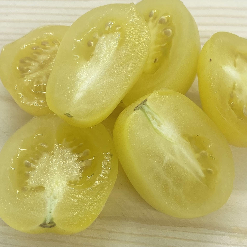 DWARF TOMATO - Bendigo Moon - Lycopersicon esculentum