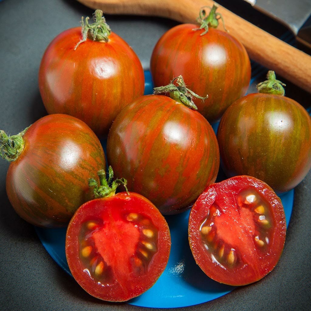 TOMATO - Black Zebra Cherry - Lycopersicon esculentum