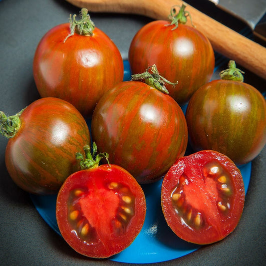 TOMATO - Black Zebra Cherry  - Lycopersicon esculentum