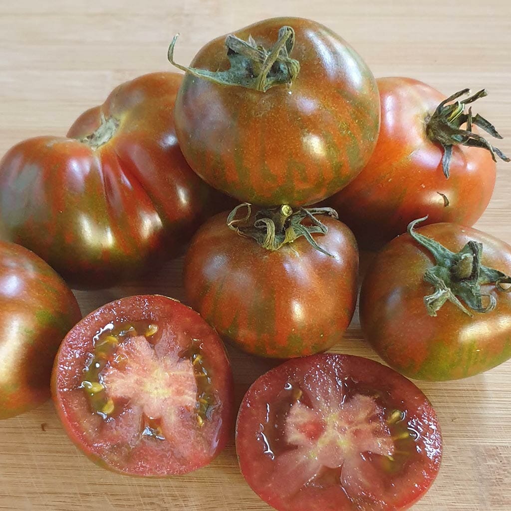 TOMATO - Black Zebra - Lycopersicon esculentum