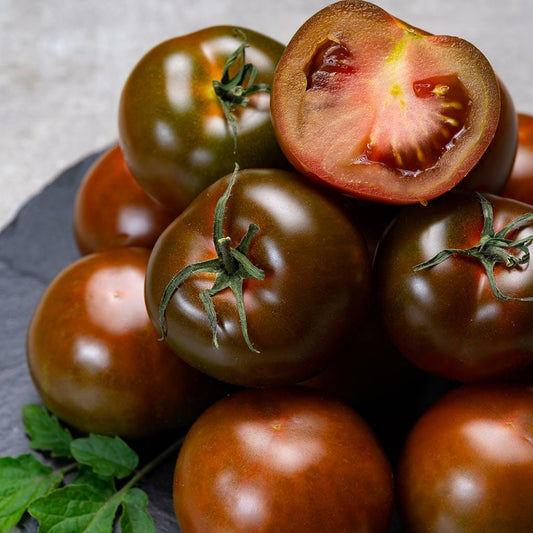 DWARF TOMATO - Bundaberg Rumball  - Lycopersicon esculentum