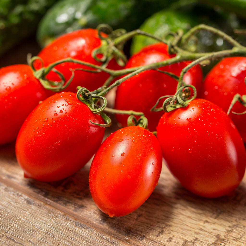 TOMATO - Cherry Roma  - Lycopersicon esculentum