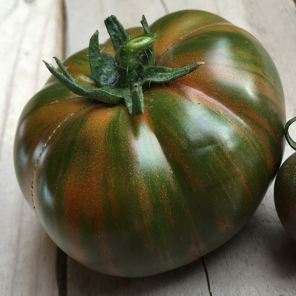 DWARF TOMATO - Chocolate Lightning - Lycopersicon esculentum