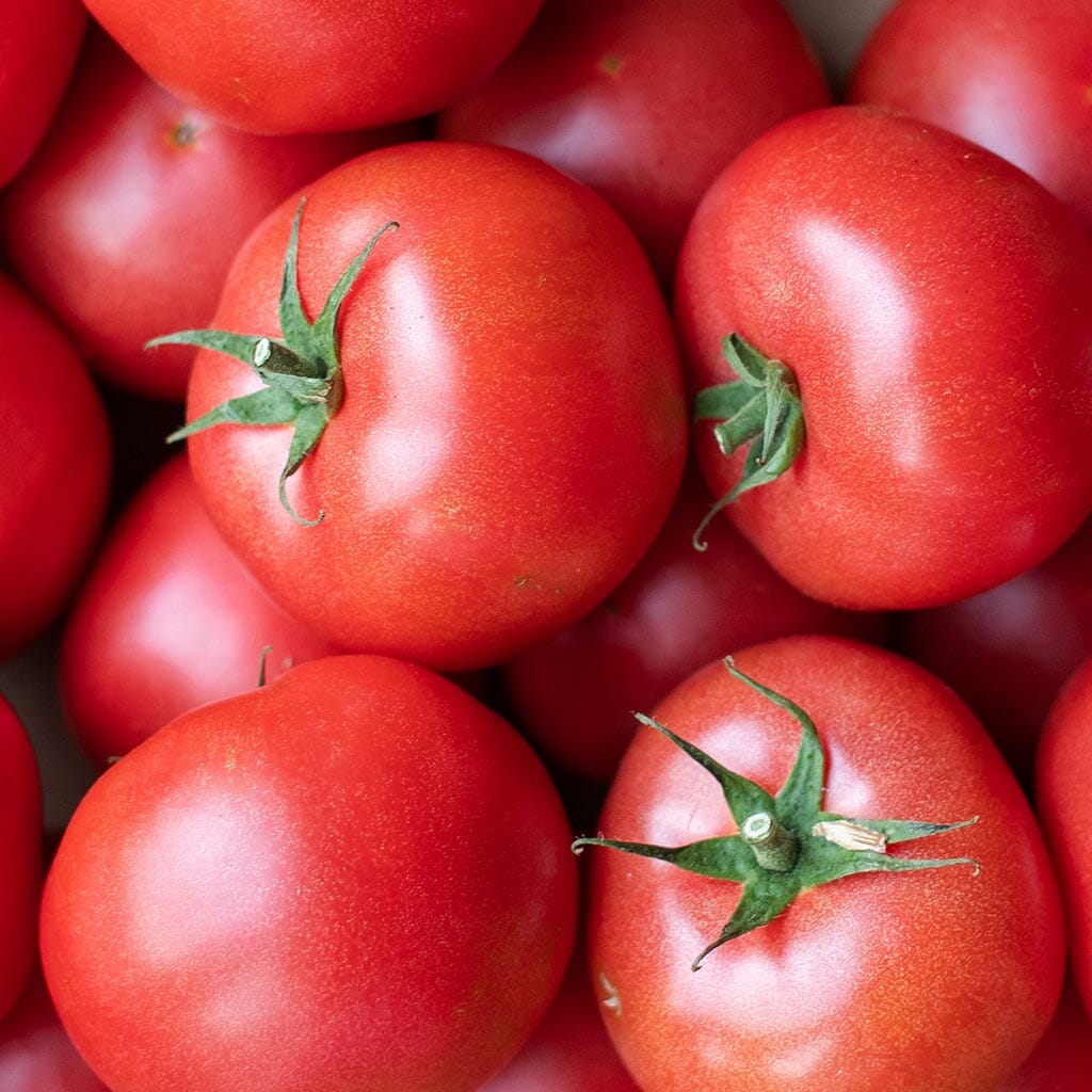 DWARF TOMATO - Coorong Pink - Lycopersicon esculentum