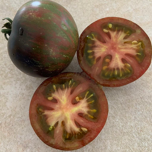 DWARF TOMATO - Gondwana Lava  - Lycopersicon esculentum