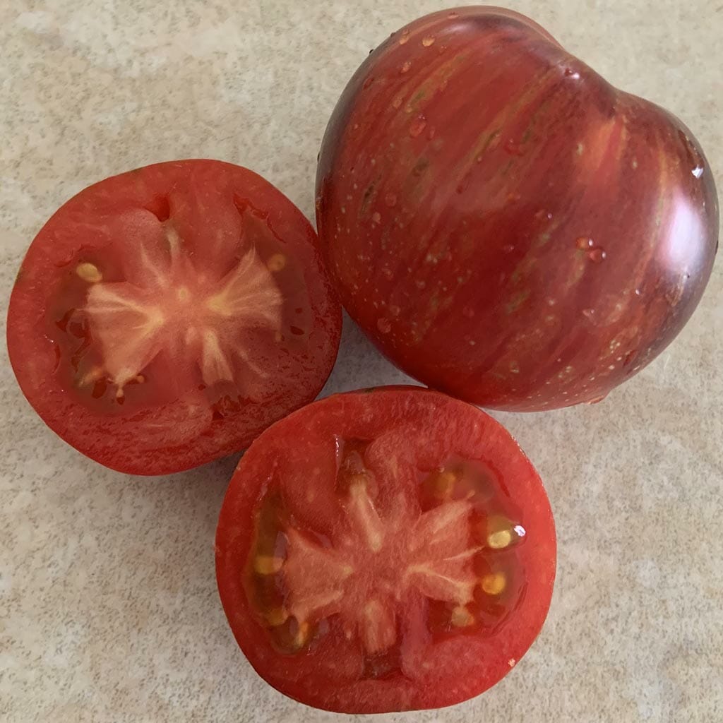 DWARF TOMATO - Gondwana Lightning - Lycopersicon esculentum