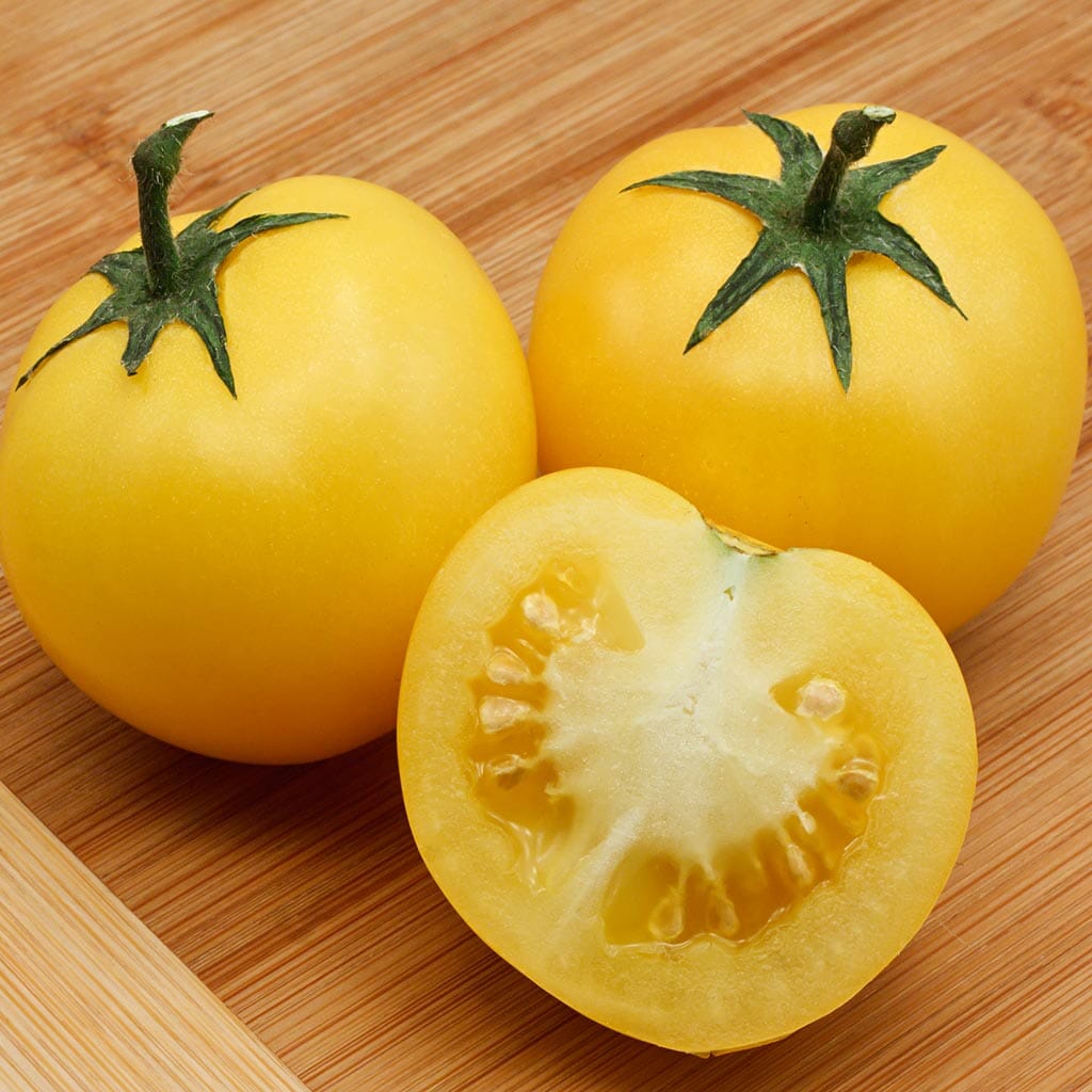 DWARF TOMATO - Kangaroo Paw Yellow - Lycopersicon esculentum