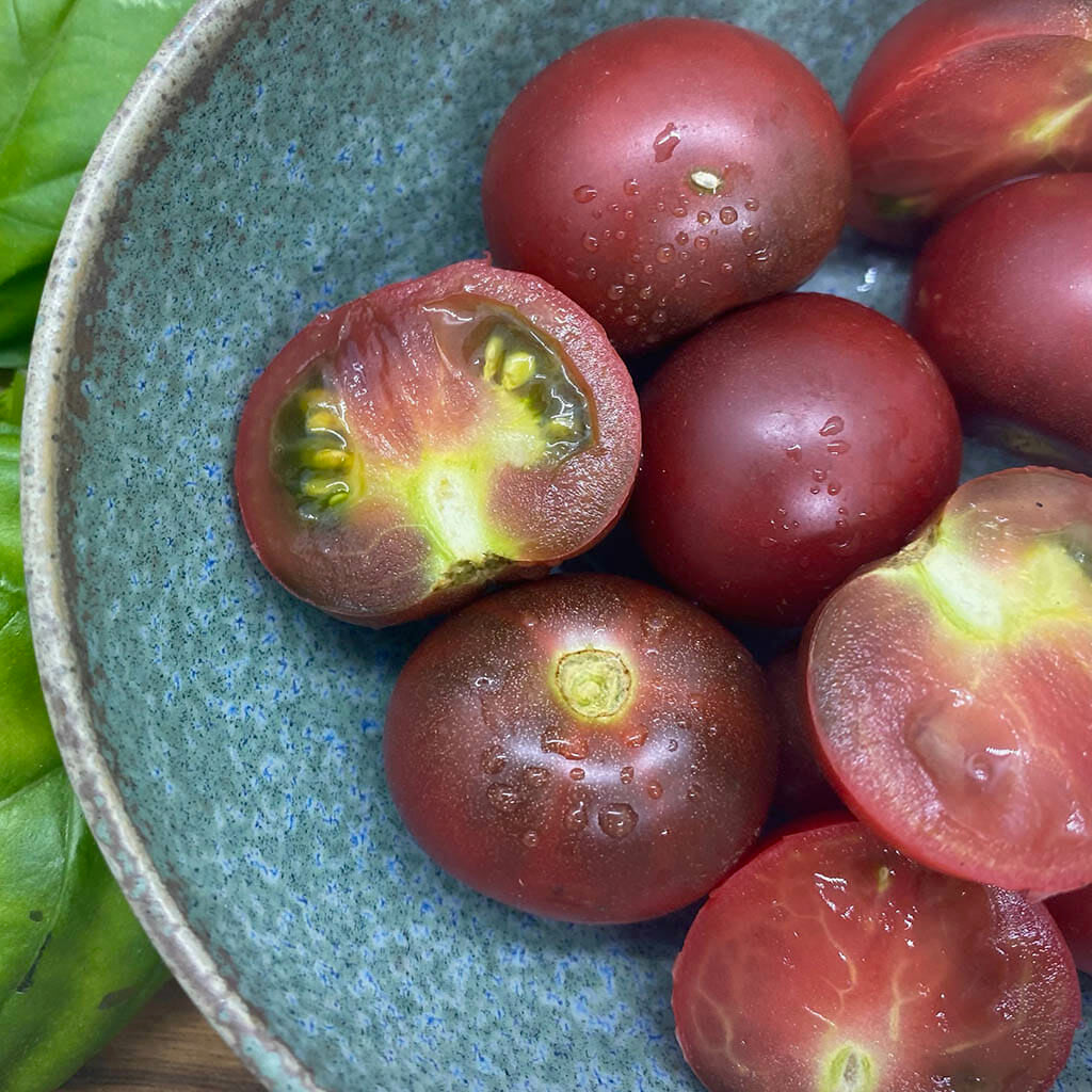 TOMATO - Karma Purple Multiflora - Lycopersicon esculentum