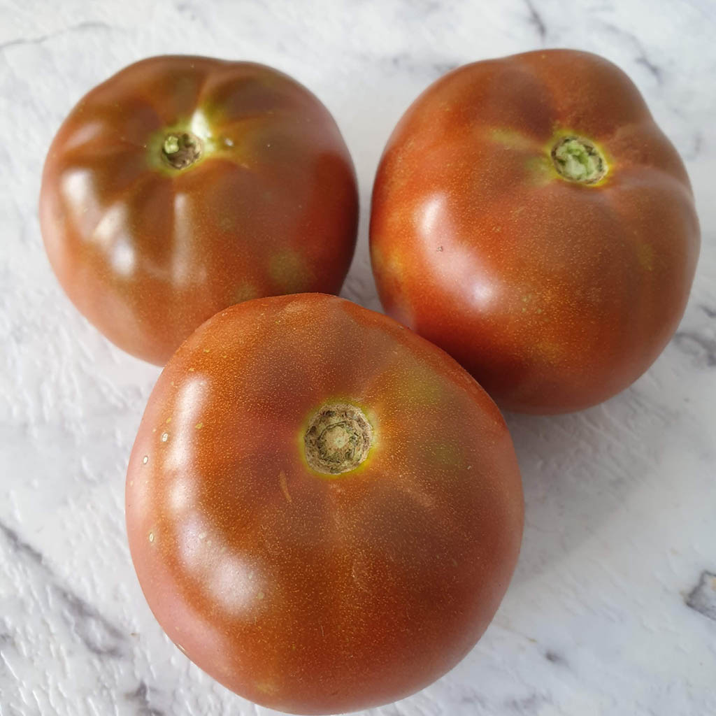 DWARF TOMATO - Kookaburra Cackle - Lycopersicon esculentum