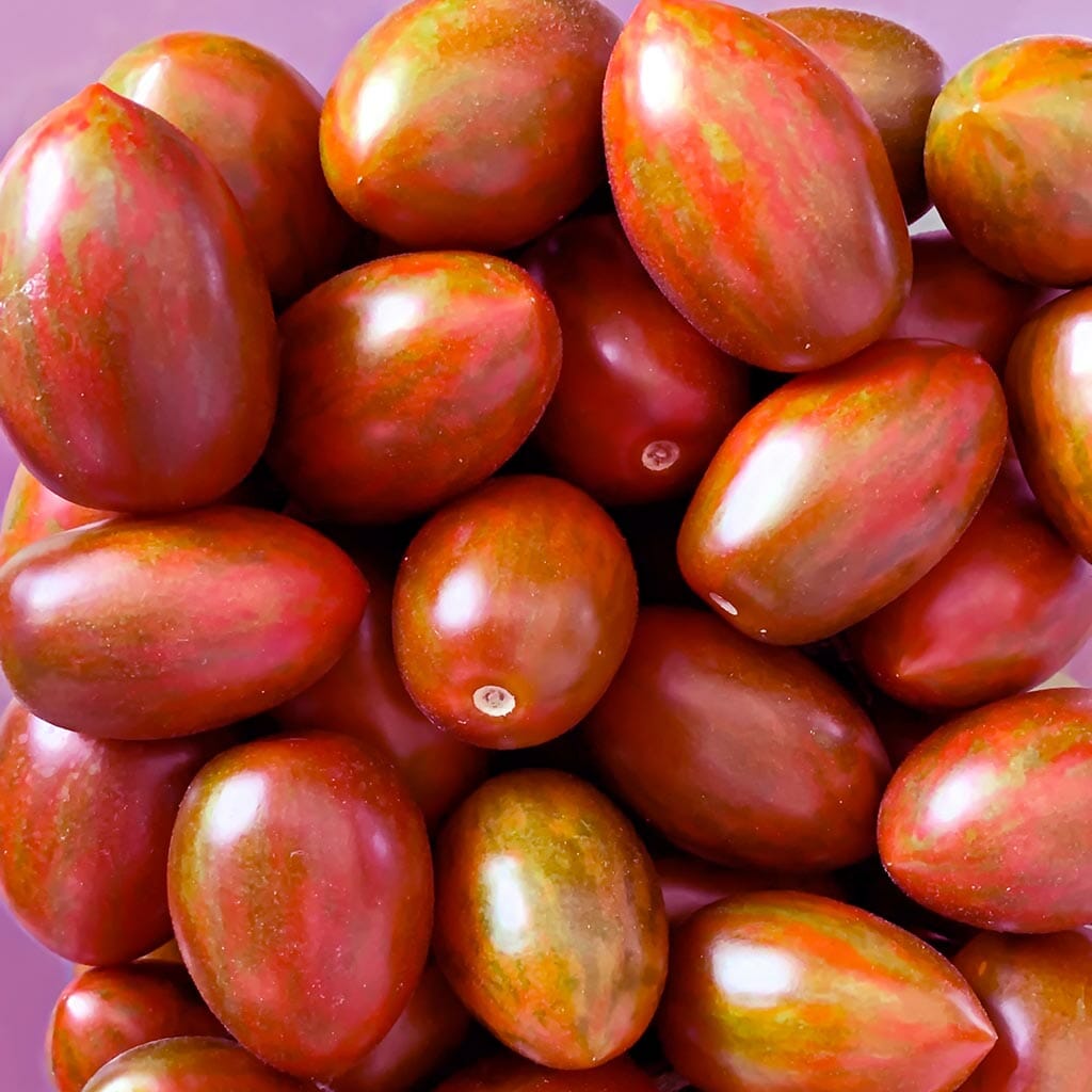 TOMATO - Lucky Tiger Pink - Lycopersicon esculentum