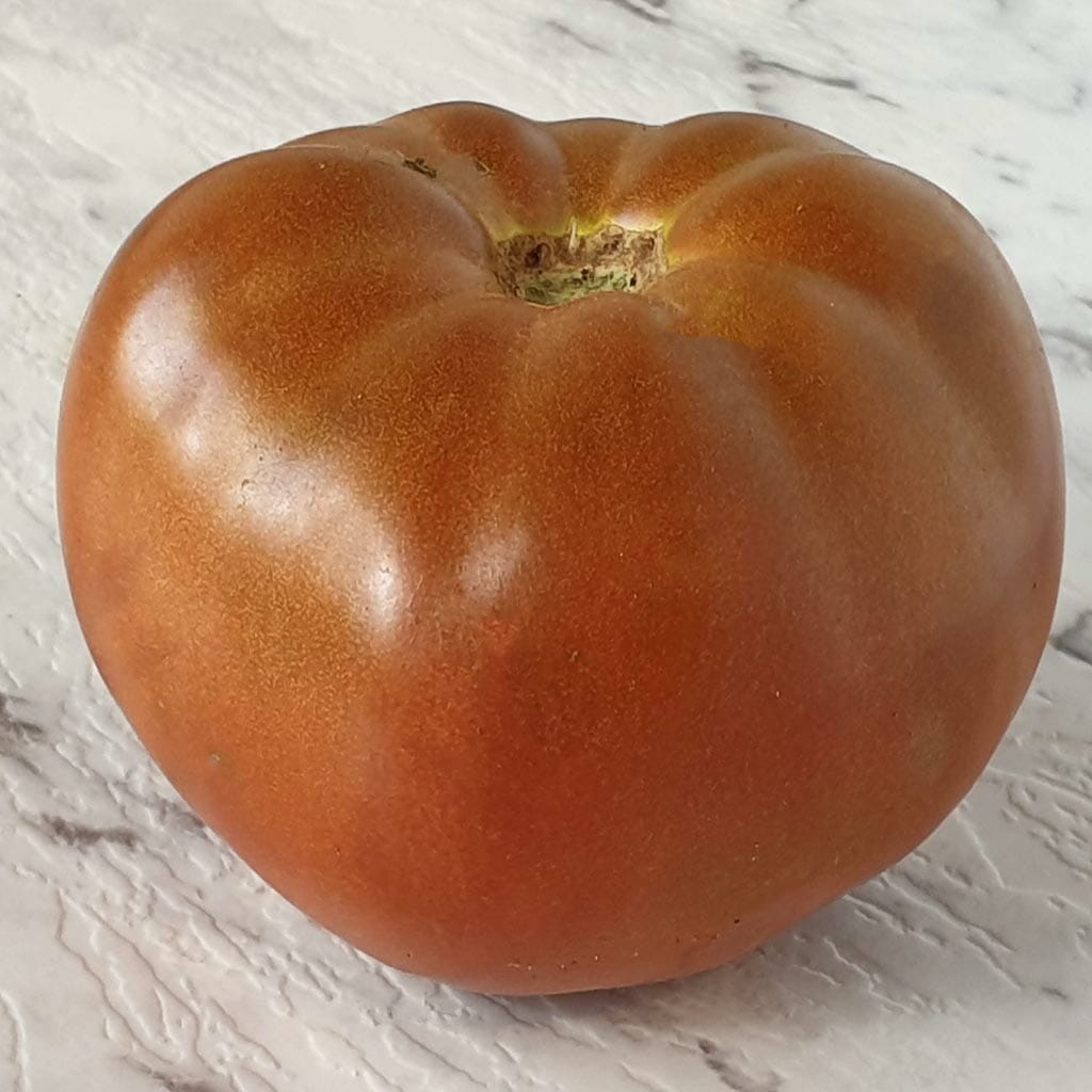 DWARF TOMATO - Maralinga - Lycopersicon esculentum