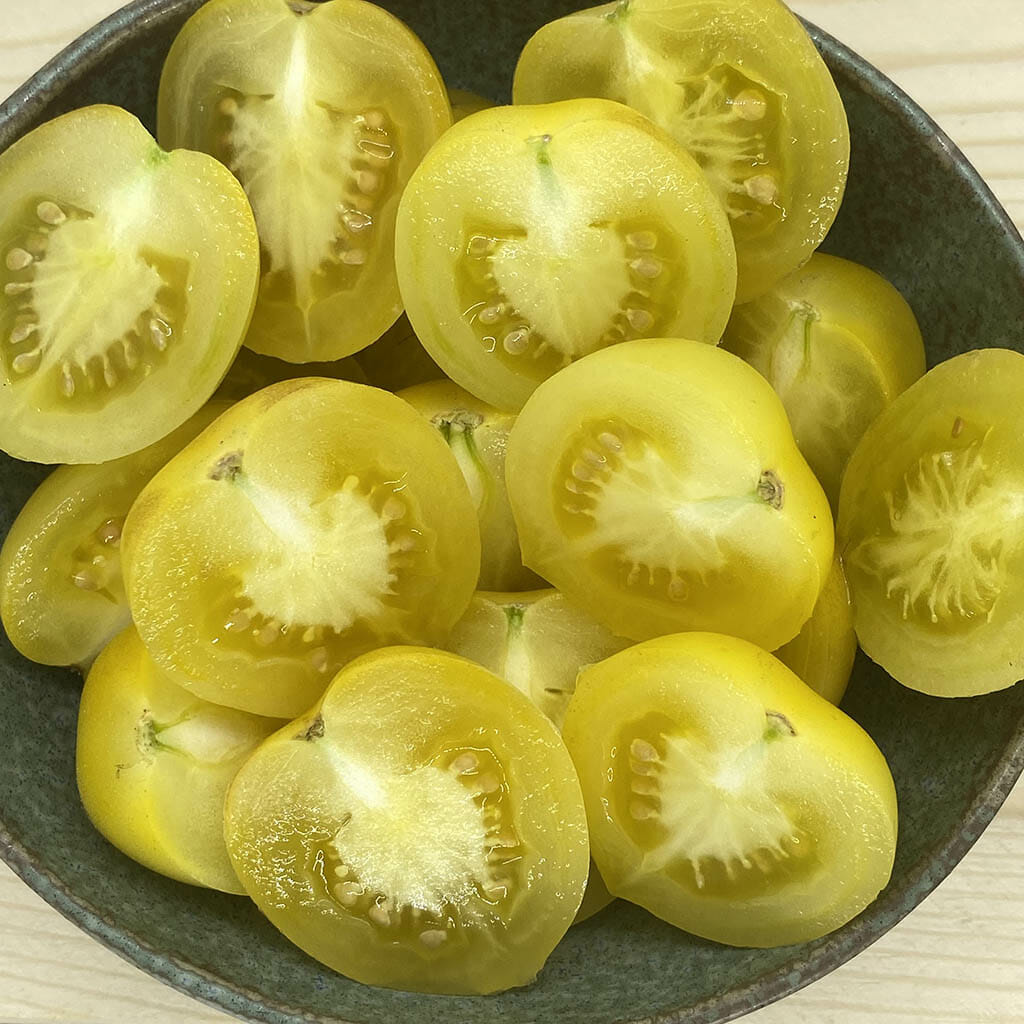 DWARF TOMATO - Mundurong Moon - Lycopersicon esculentum