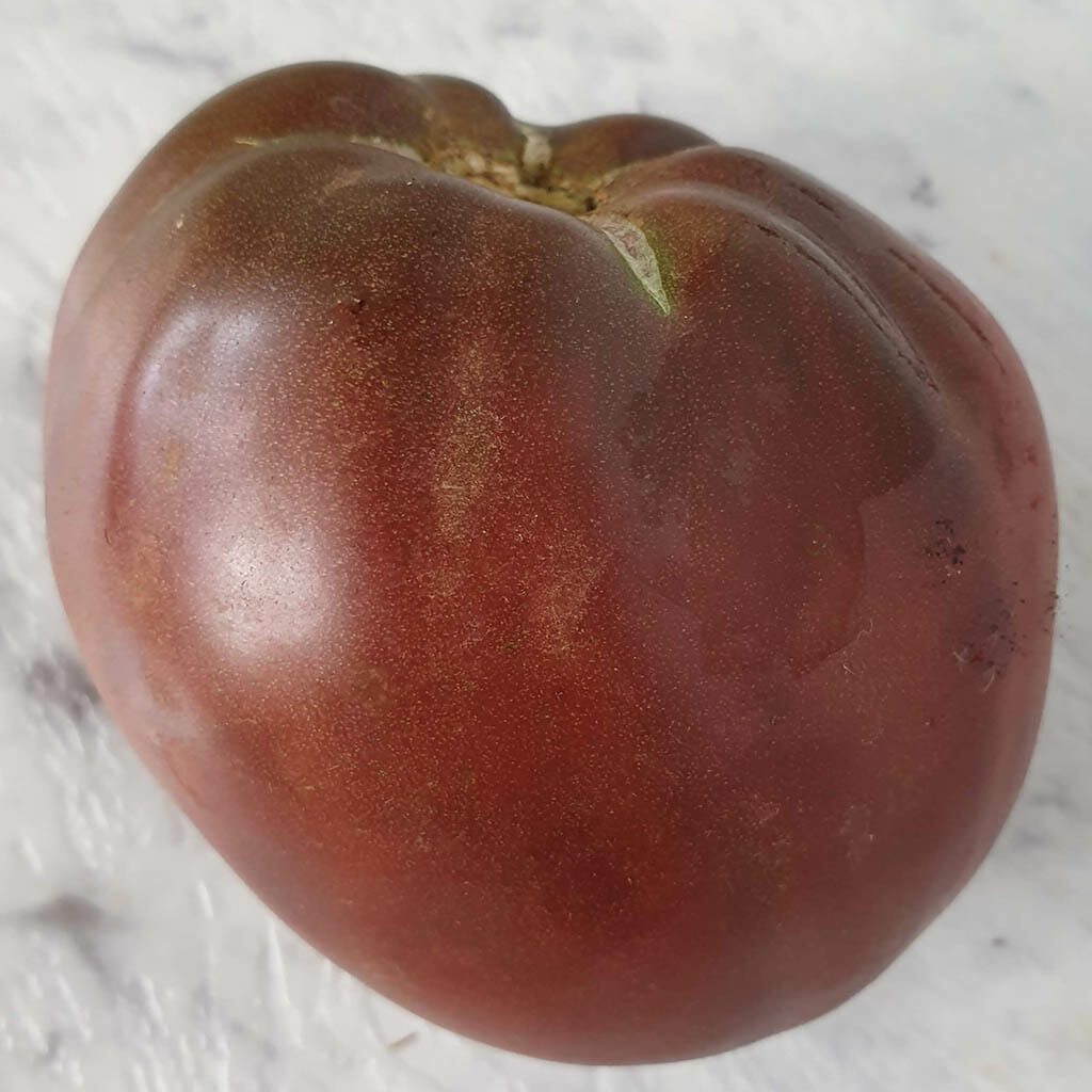DWARF TOMATO - Purple Heart - Lycopersicon esculentum