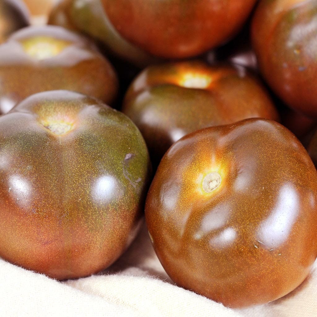 DWARF TOMATO - Kangaroo Paw Brown  - Lycopersicon esculentum