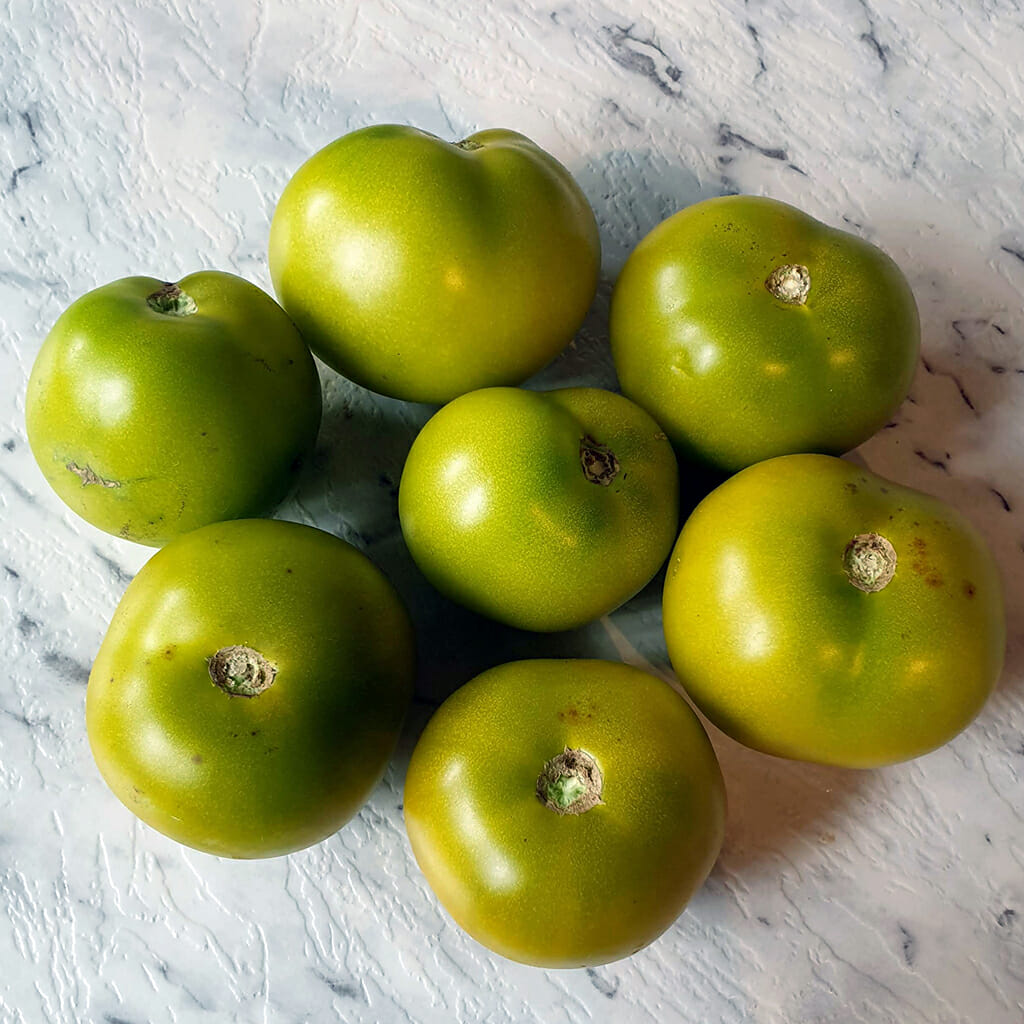 DWARF TOMATO - Kangaroo Paw Green - Lycopersicon esculentum