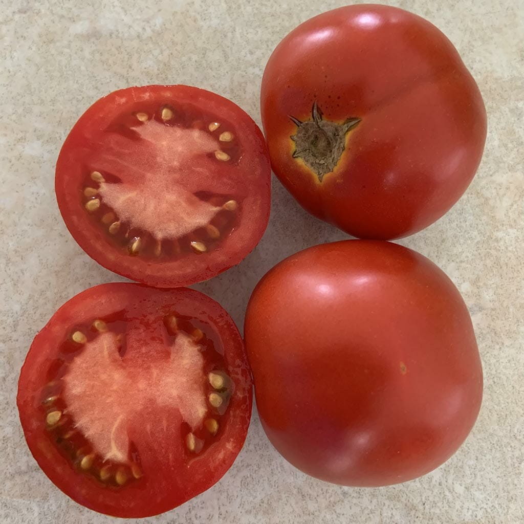DWARF TOMATO - Kangaroo Paw Red - Lycopersicon esculentum