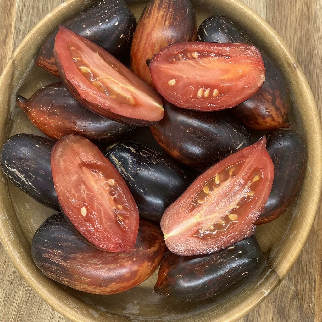 DWARF TOMATO - Shadow Boxing - Lycopersicon esculentum