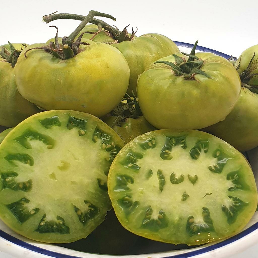 DWARF TOMATO - Summertime Green - Lycopersicon esculentum