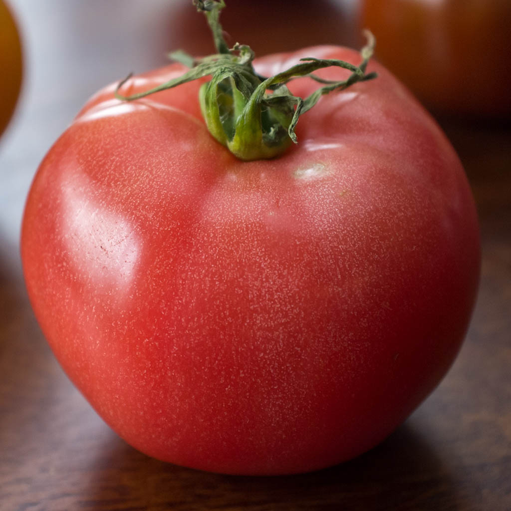 DWARF TOMATO - Tasty Wine - Lycopersicon esculentum