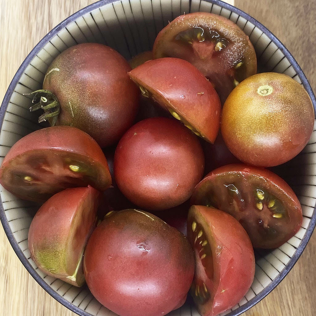 DWARF TOMATO - Velvet Night - Lycopersicon esculentum