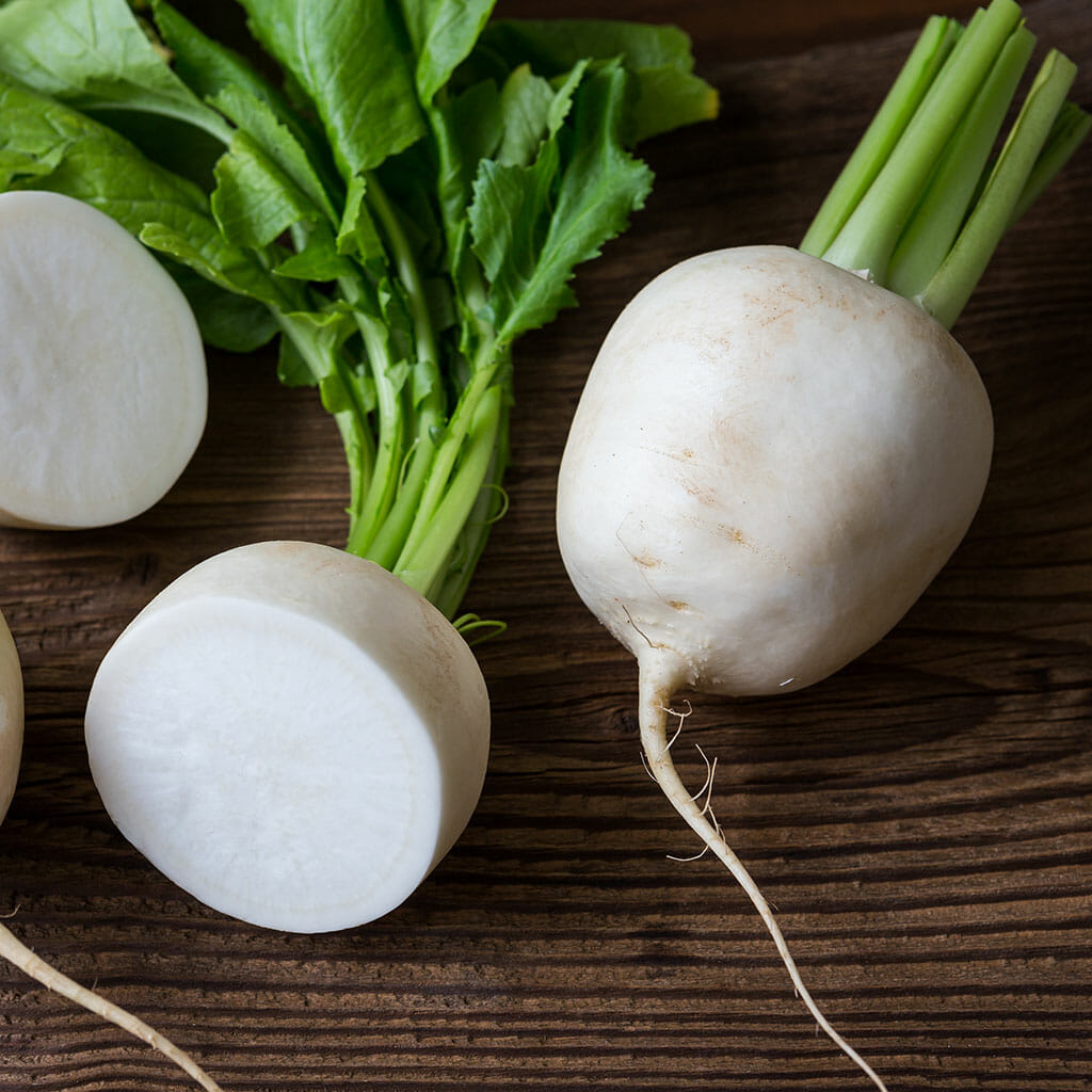 TURNIP - White Egg  - Brassica rapa