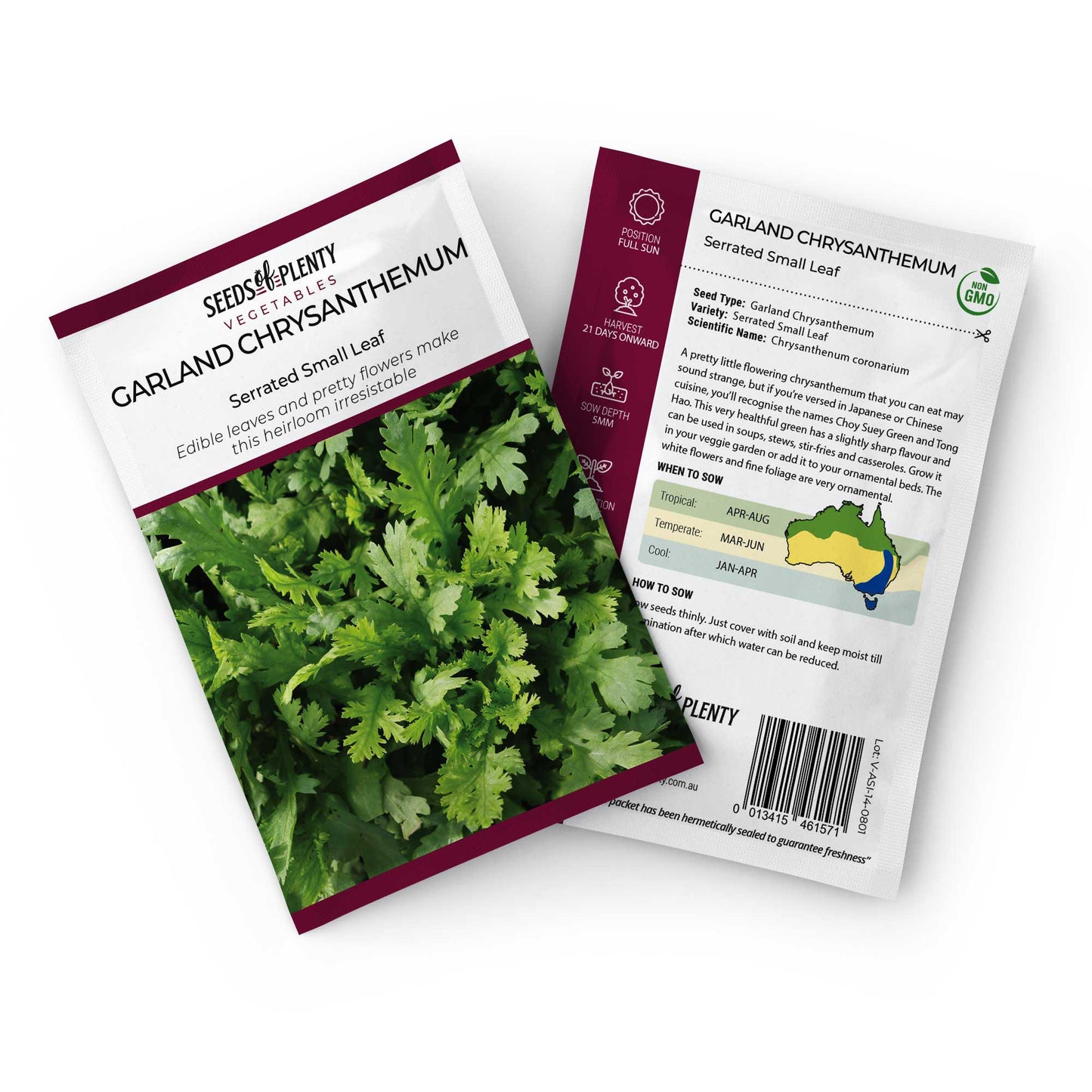 GARLAND CHRYSANTHEMUM - Serrated Small Leaf Seed Packet - Chrysanthenum coronarium