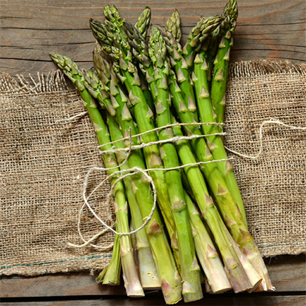ASPARAGUS - Mary Washington - Asparagus officinalis