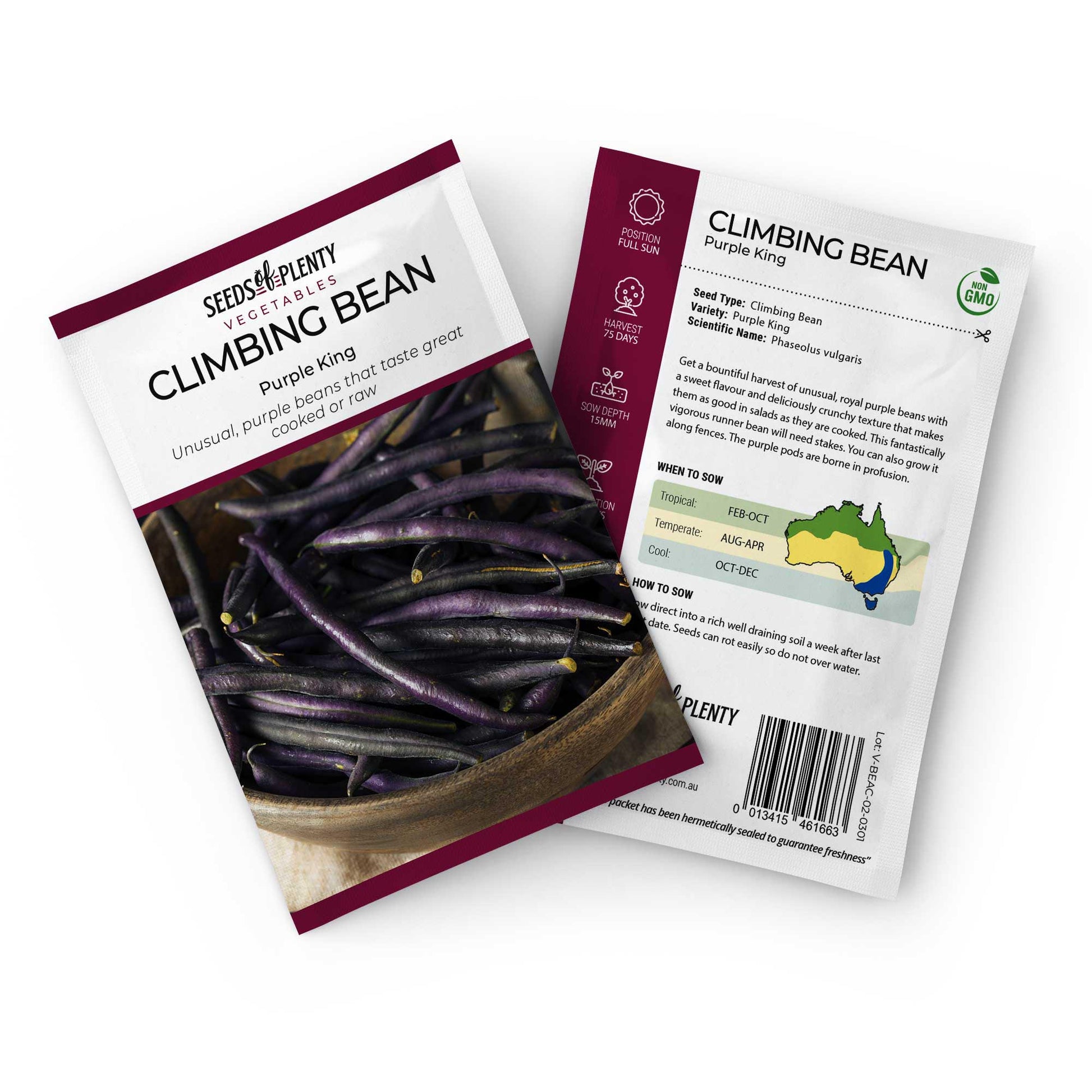 CLIMBING BEAN - Purple King Seed Packet - Phaseolus vulgaris