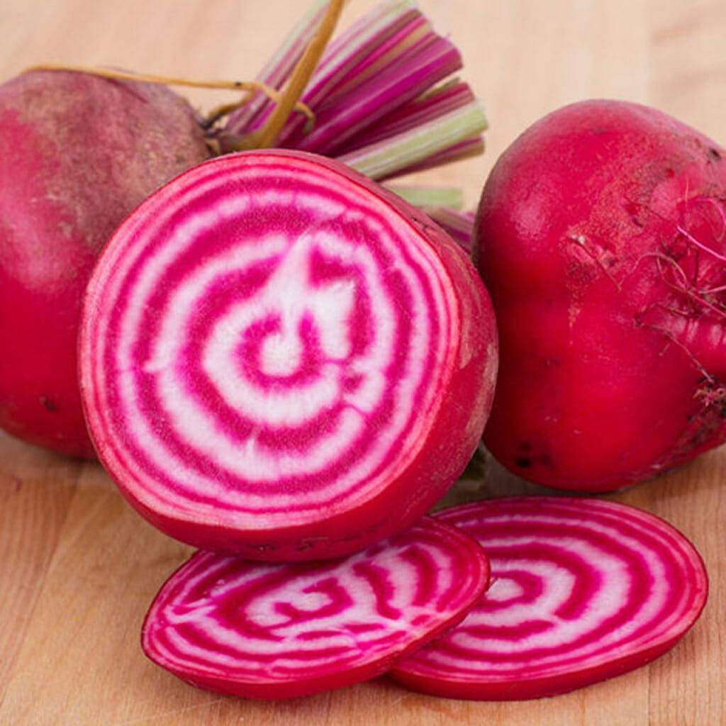 BEETROOT - Chiogia - Beta vulgaris
