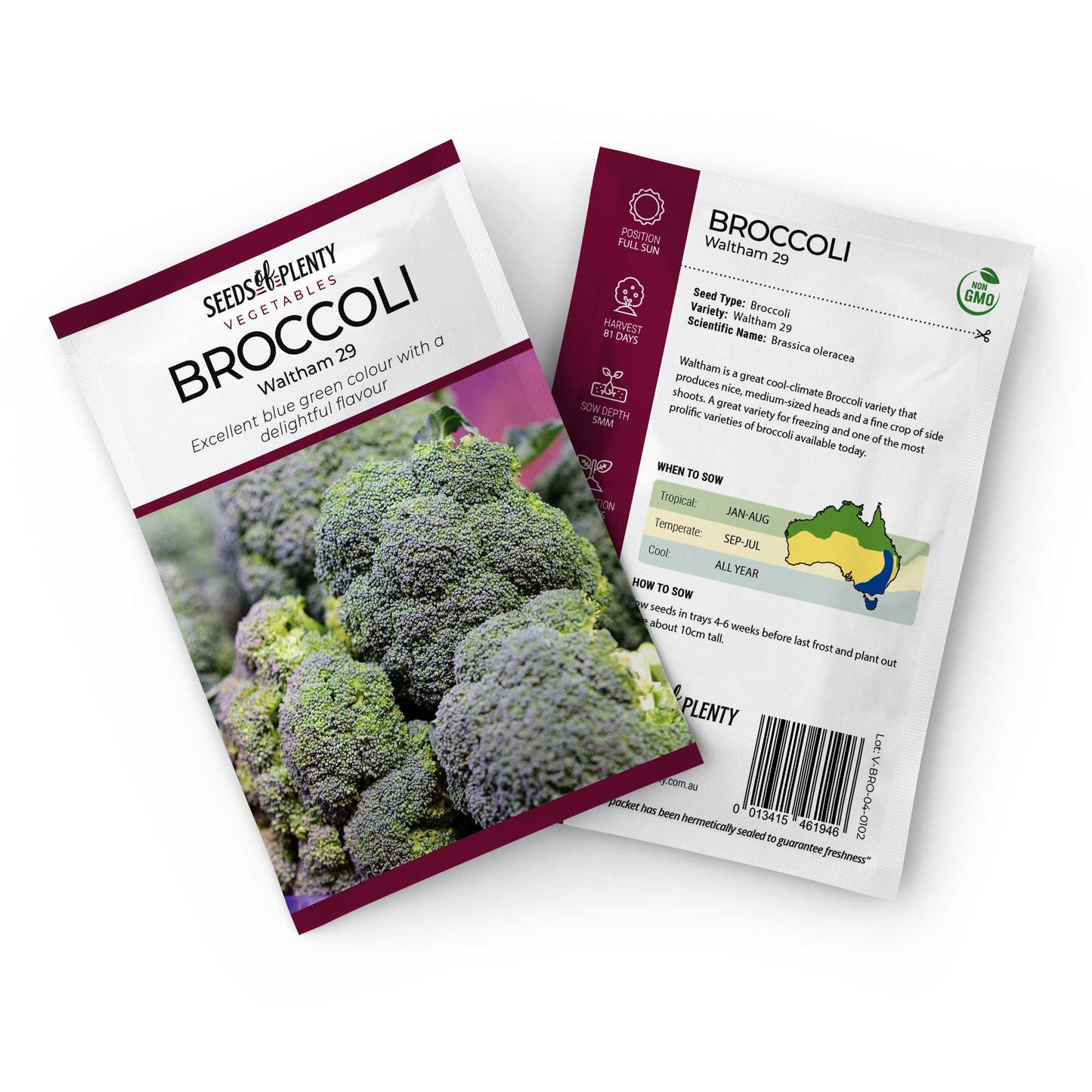 BROCCOLI - Waltham 29 Seed Packet - Brassica oleracea