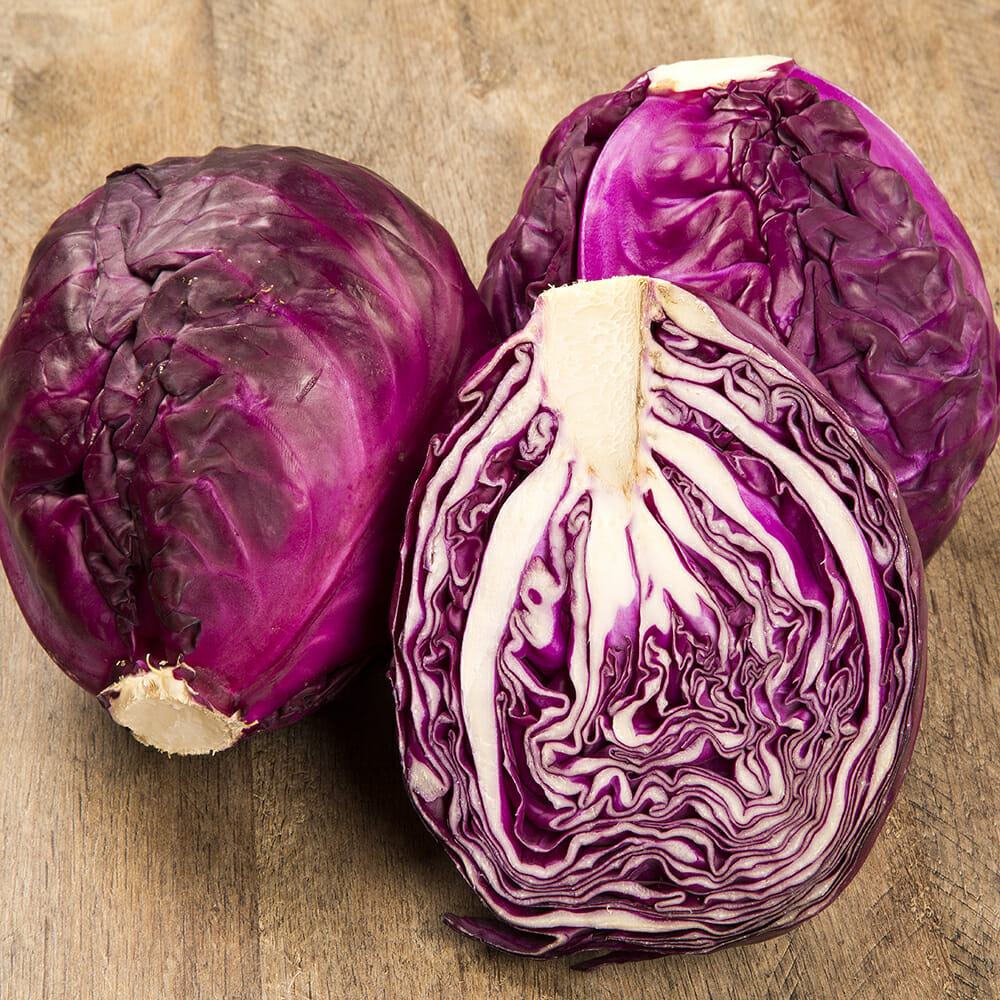 CABBAGE - Red Acre - Brassica oleracea