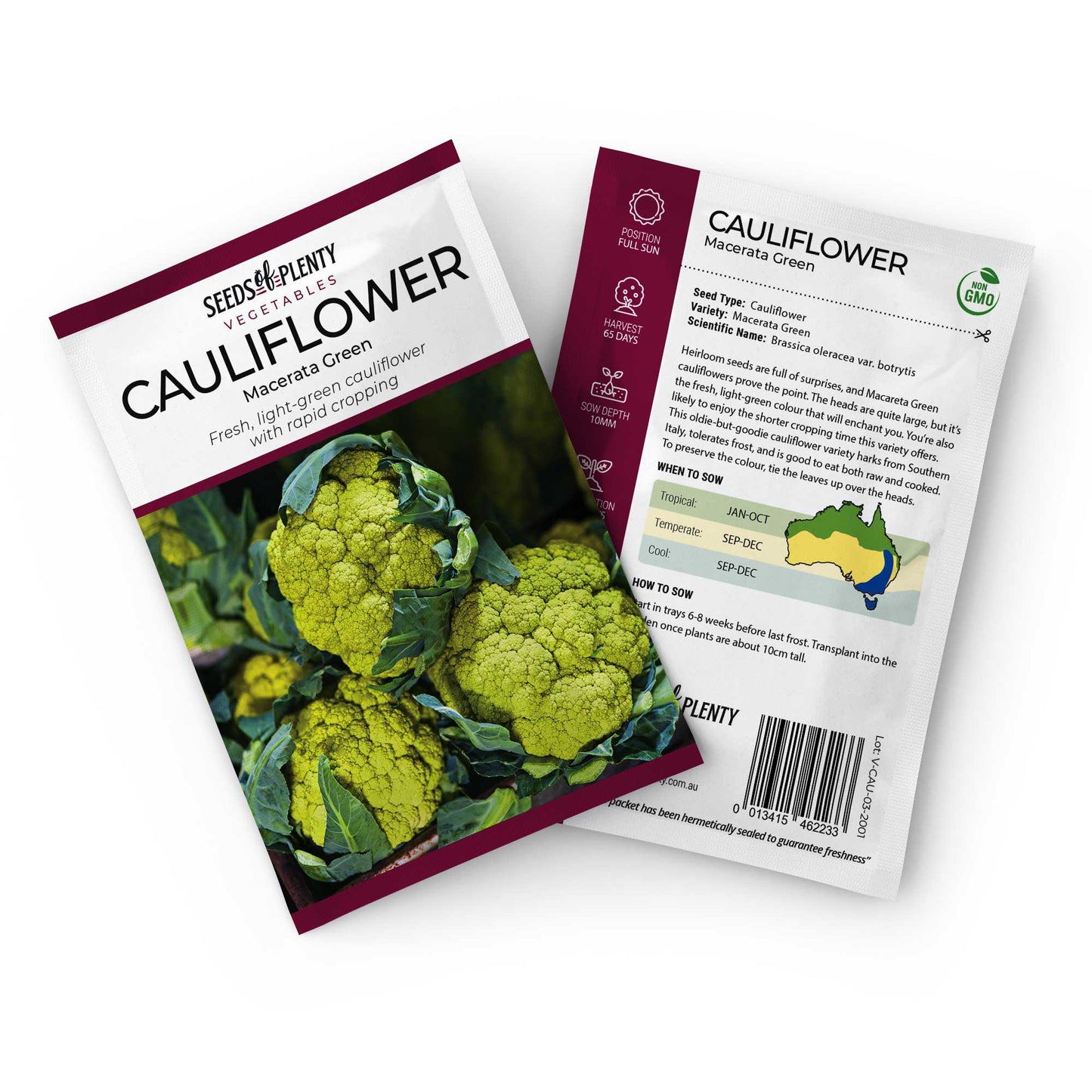 CAULIFLOWER - Macerata Green Seed Packet - Brassica oleracea var. botrytis