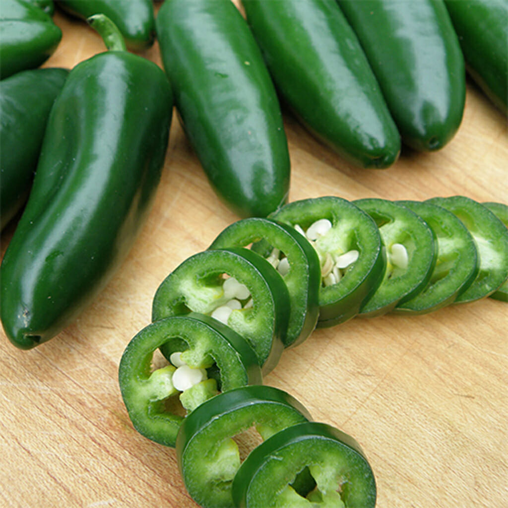 CHILLI PEPPER - Jalapeno  - Capsicum annuum
