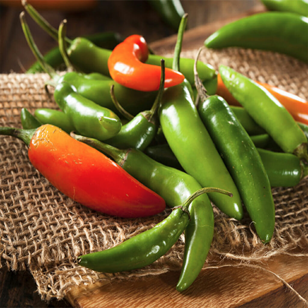 CHILLI PEPPER - Serrano - Capsicum annuum