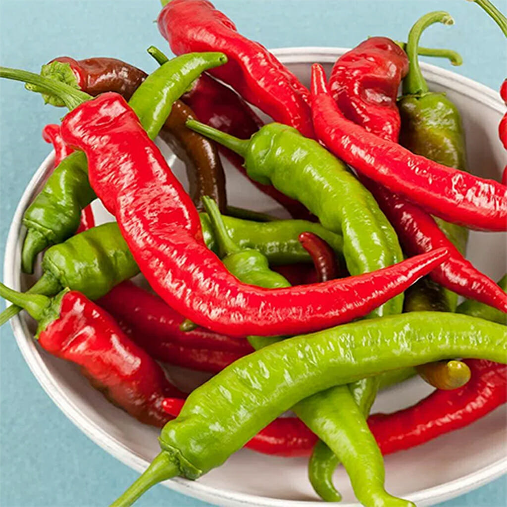 CHILLI PEPPER - Big Jim - Capsicum annuum