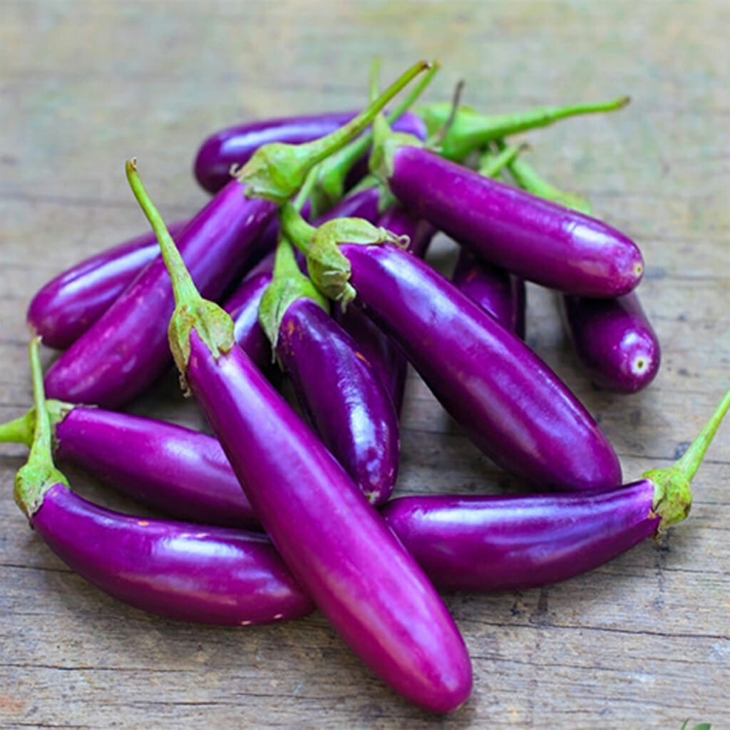 EGGPLANT - Long Purple - Solanum melongena